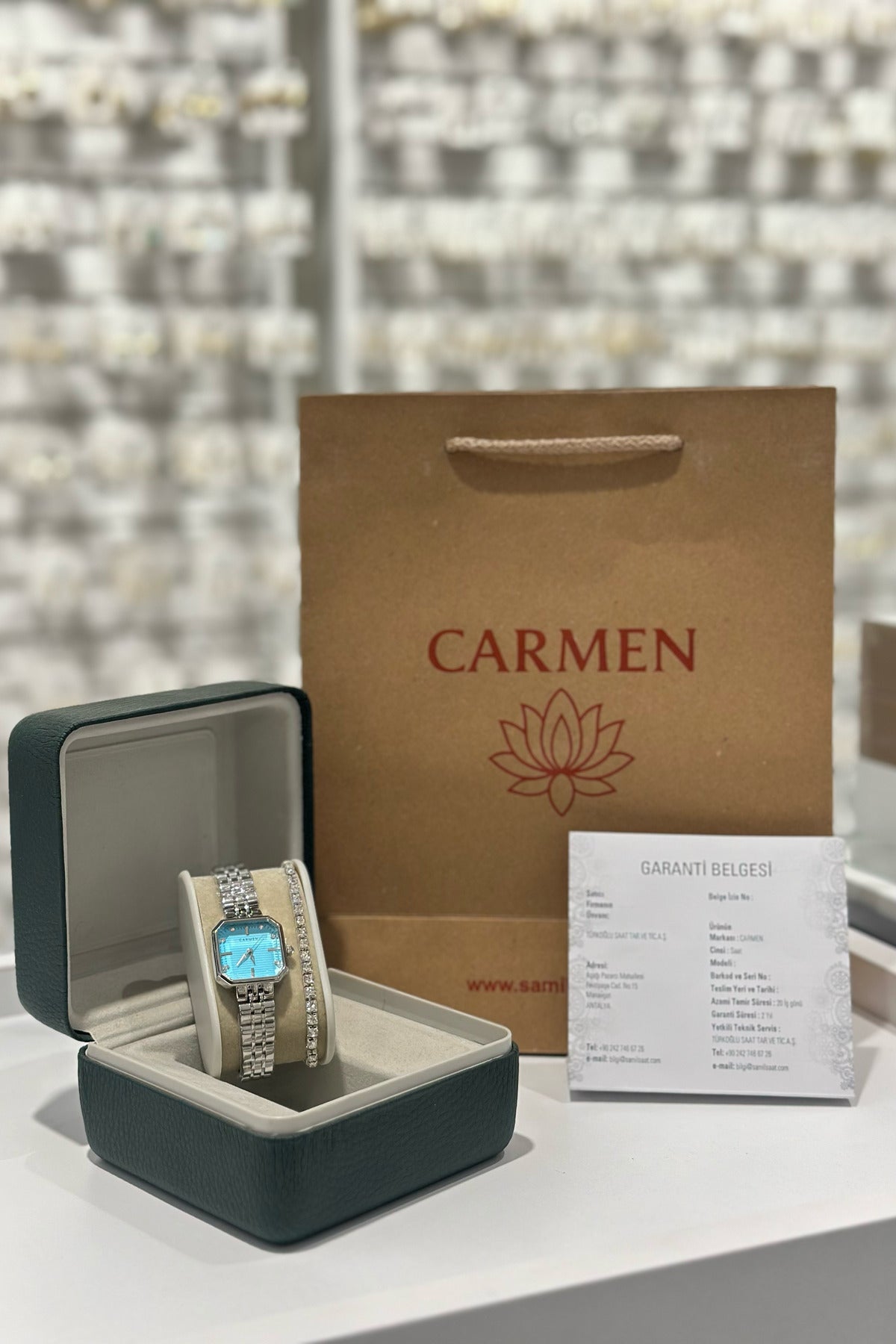 Carmen Çelik Kordon Su Geçirmez Garantili Kadın Kol Saati (CR1AG0047)