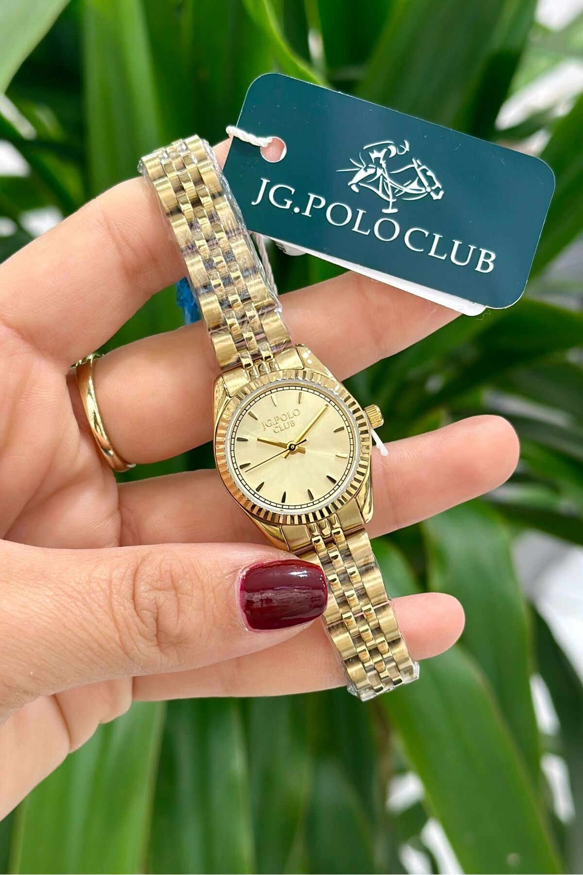 J.G. Polo Club Orijinal Çelik Kasa Çelik Kordon Su Geçirmez 2 Yıl Garantili Kadın Kol Saati (JPC.0426S04649M)